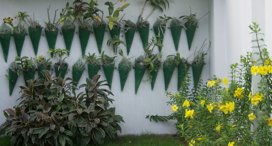 Orion Holidays Homestay, Kochi 4